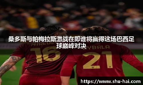 球王会体育