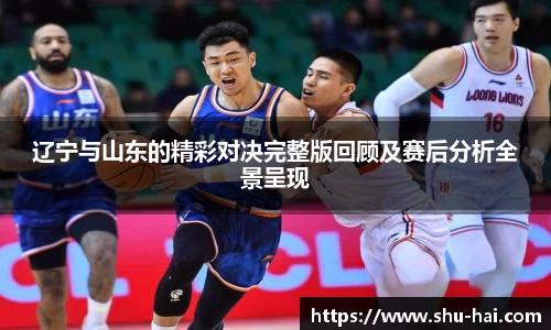 辽宁与山东的精彩对决完整版回顾及赛后分析全景呈现