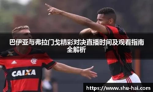 球王会体育