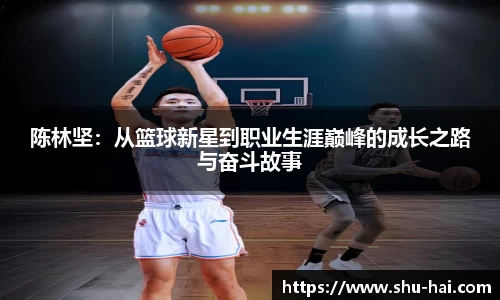 球王会体育