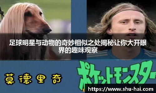 足球明星与动物的奇妙相似之处揭秘让你大开眼界的趣味观察
