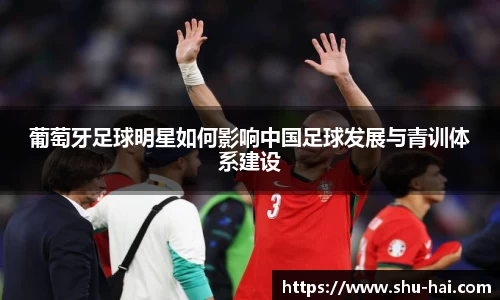 葡萄牙足球明星如何影响中国足球发展与青训体系建设